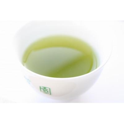 ふるさと納税 掛川市 手摘み 深蒸し掛川茶 天心 100g×3缶セット 箱入包装 |  | 03