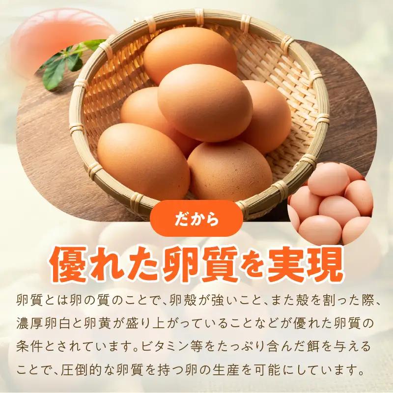 戸野さん家のこだわりタマゴ 定期便 60個×全6回 Mサイズ 合計 360個【毎月配送コース】