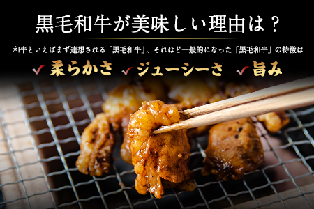 黒毛和牛ホルモン400g 有限会社トップルーフ 黒毛和牛 