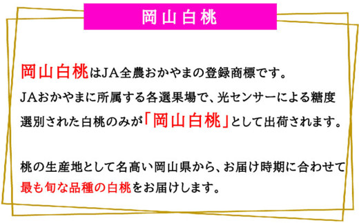 岡山白桃 エース 4～8玉 約1.2kg 岡山県産 【2026年7月上旬～8月下旬迄発送予定】 ／ 白桃 桃 もも 果物 果実 フルーツ 岡山県 美咲町 冷蔵