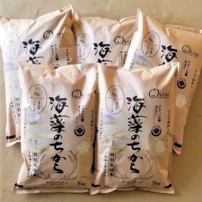 ふるさと納税 小矢部市 【毎月定期便】ミルキークイーン(海藻のちから)(精米)5kg全5回 |  | 01