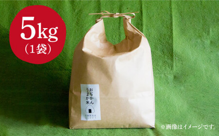 【令和7年度産新米】おぢかんうまか米（小値賀町産こしひかり 5kg ・精白米） [DAB014] コシヒカリ こしひかり 米 お米 白米 ご飯 精米 お弁当  常温