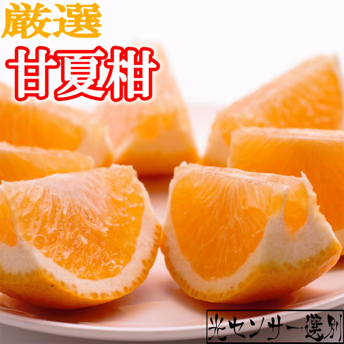 ＜4月より発送＞厳選 甘夏柑8kg+240g（傷み補償分）◇【初夏のみかん・旬の果物】【有田産】【光センサー食べ頃出荷】 ※北海道・沖縄・離島への配送不可 ※2025年4月上旬～5月下旬頃に順次発送予定