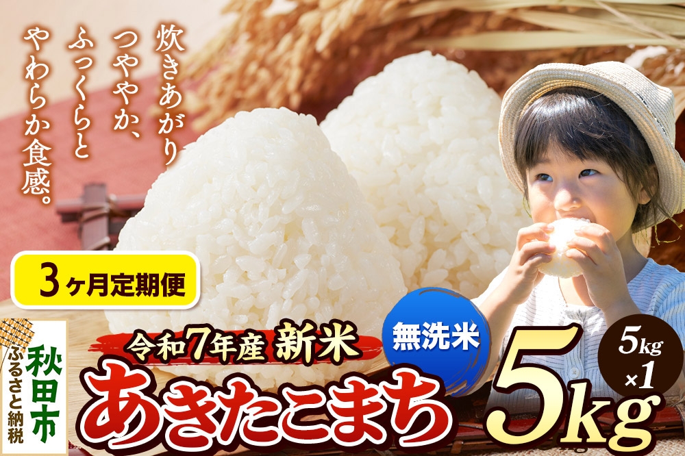 
            《令和7年産 新米先行受付》《定期便3ヶ月》 米 あきたこまち 5kg 【無洗米】 秋田県産
          