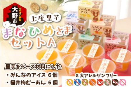 【アレルギー対応スイーツ】まなひめさまセットA（里芋ベースのゼリー風スイーツ&アレルギー特定原材料8品目不使用のアイス）