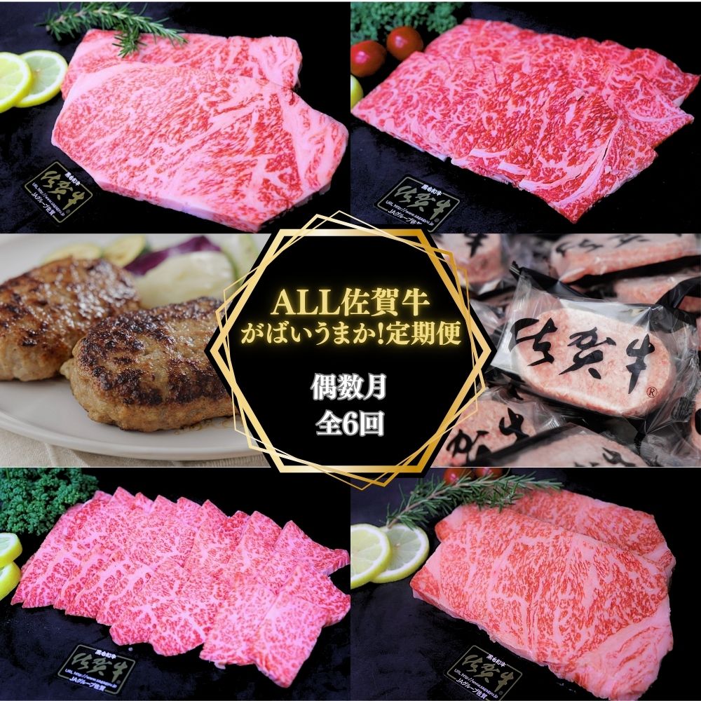 【ふるさと納税】【偶数月に計6回】ALL 佐賀牛 がばいうまか 定期便 191-J1389