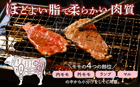 亀岡牛 もも 焼肉用 500g 焼肉