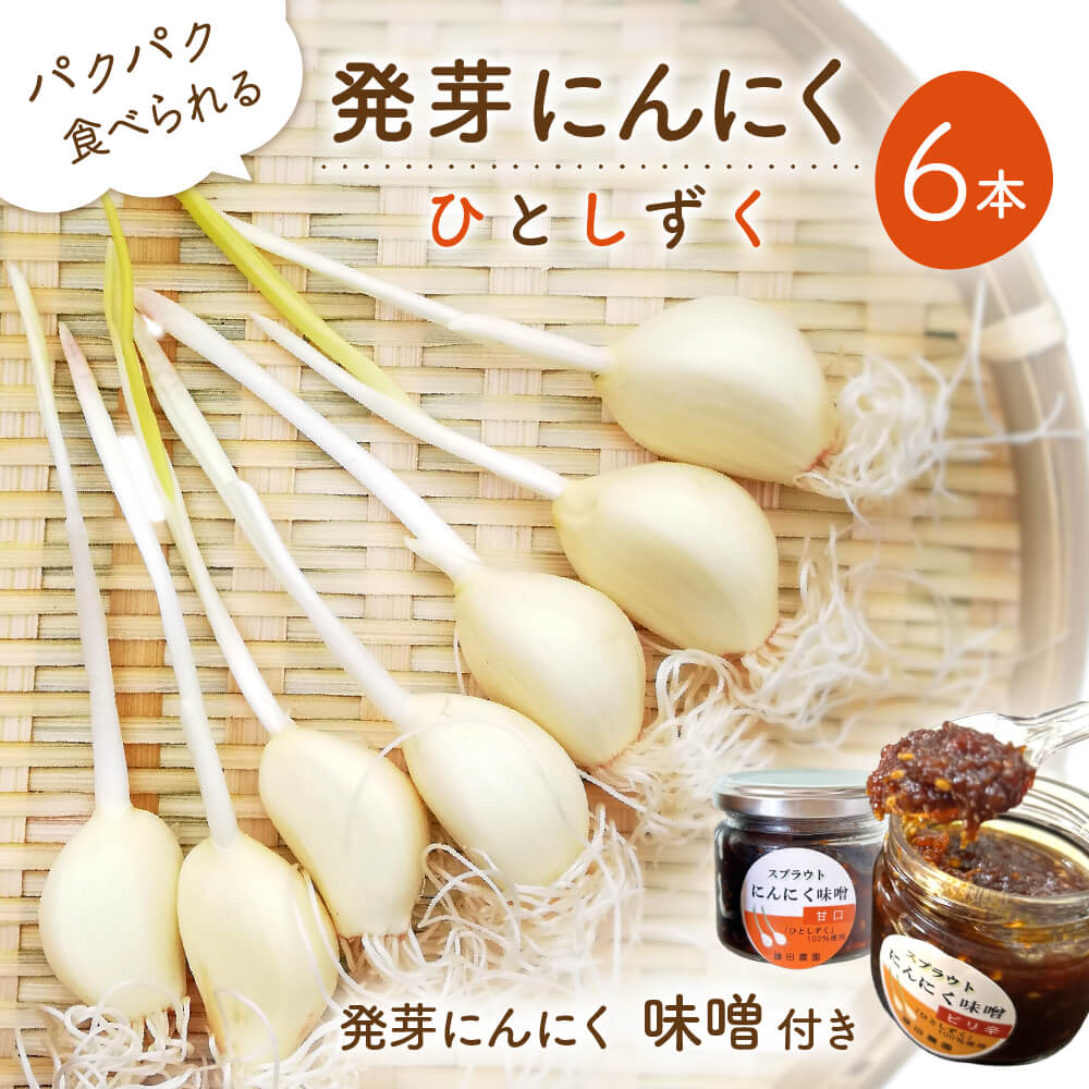 【ふるさと納税】発芽にんにく6本入り1袋＋発芽にんにく味噌 甘口・ピリ辛 藤田農園 滋賀県東近江市O-F08 発芽にんにく スプラウト 味噌 健康 美容 野菜 素揚げ ご飯のおとも ギフト