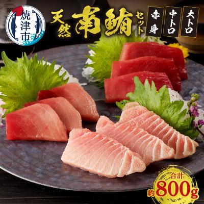 ふるさと納税 焼津市 『鮪の魚二』天然南鮪大トロ中トロ赤身約800gセット(a40-076)