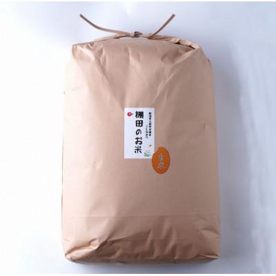 ふるさと納税 上越市 【毎月定期便】雪むろ棚田米コシヒカリ10kg(10kg×1袋)玄米-新潟県上越市安塚区産-全2回 |  | 01