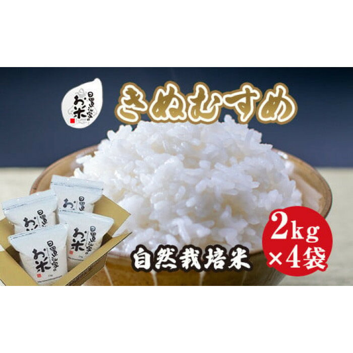 【ふるさと納税】【内容量が選べる】令和7年産新米 きぬむすめ 精米 無洗米 8kg 9kg 10kg 日置さん家の自然栽培米 | 米 白米 ブランド米 鳥取県産 ごはん 白米 おにぎり 弁当 2025年産 キヌムスメ こめ 鳥取 国産