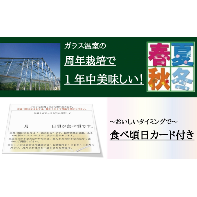 【6ヶ月定期便】数量限定！『クラウンメロン ”名人メロン” 1玉 』 メロン 人気 厳選 ギフト 贈り物 デザート グルメ フルーツ 果物 袋井市_イメージ5