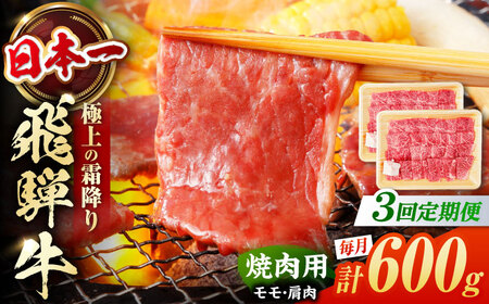 【3回定期便】飛騨牛 焼肉用赤身 600g 白川町 / 浅井商店[AWBJ012] 飛騨牛