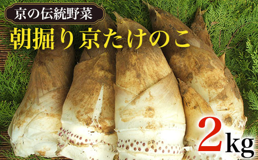 
            【2026年3月中旬より順次発送予定】【京の伝統野菜】朝掘り京たけのこ　２kg ふるさと納税   京都 竹の子 筍 たけのこ タケノコ 朝掘り 料亭 逸品 やわらかい 春 味覚 京都府 長岡京市 NGL001
          