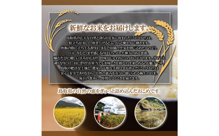 令和7年産　こしひかり玄米5kg