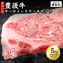 【ふるさと納税】訳あり！ 豊後牛 サーロインステーキセット 5kg ( 250g 2枚入り×10p ) 牛肉 肉 お肉 サーロイン ステーキ 国産 九州産 大分県産 D10