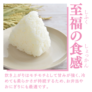 【無農薬米日本一コンテスト2年連続金賞】【谷田部農産】立神米 無農薬 こしひかり（白米）5kg｜茨城県 大子町 コシヒカリ 米 無農薬 コンテスト 受賞 生産者 大子産米 産地直送 令和7年産（BT0