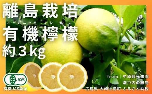 [12〜1月発送] 瀬戸内の離島から届く オーガニックレモン 約3kg [有機JAS認証]