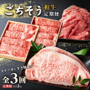 【ふるさと納税】和牛 ごちそう定期便 （計3回） | 和牛 黒毛和牛 牛肉 牛 ロース 牛ロース サーロイン 和牛サーロイン ステーキ 和牛ステーキ 切り落とし しゃぶしゃぶ すき焼き すきやき 定期 肉 お肉 すき焼 鹿児島県 大崎町 鹿児島 大崎 特産品 お取り寄せ