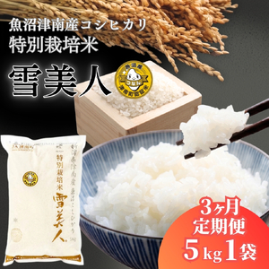 【3ヶ月定期便】魚沼産コシヒカリ 特別栽培 雪美人  5kg  | 津南町 魚沼 令和8年