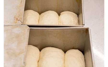 【毎月数量限定】究極のグラスフェッド食パン プレーン 2斤サイズ　山地酪農牛乳 グラスフェッドバター 最高級 パン 食パン 朝食 希少食材 株式会社アリーブ 食パン ときよじせつ 食パン 岩手県 北上