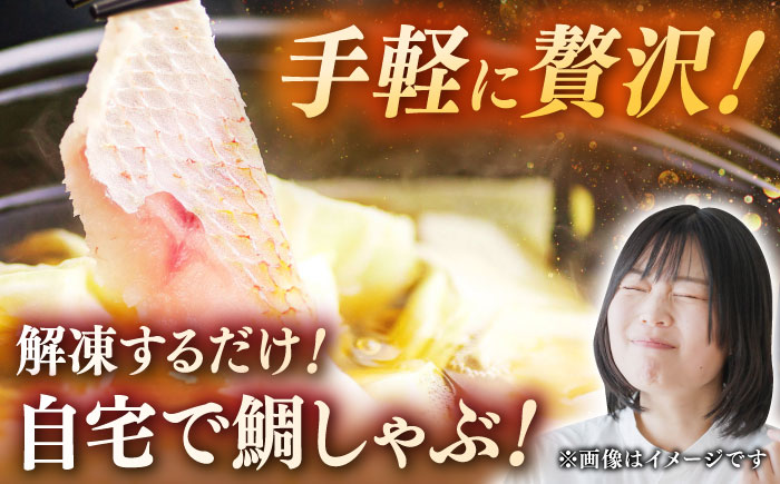 【 あごだし 】 あごだし 真鯛 しゃぶしゃぶ (今なら！鯛茶漬け２パック付き)《壱岐市》【若宮水産】 [JAH071] たい タイ 鍋 お茶漬け 13000 13000円 海産物