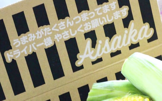 梱包イメージ
