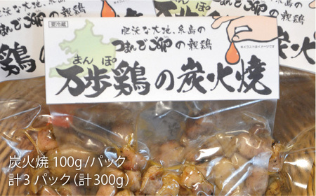 《鶏の炭火焼とブランド卵のセット》緑の農園 満喫セット《糸島》【緑の農園】[AGA020] たまご 卵 鶏卵 玉子 平飼い 炭火焼き 冷凍 カット 鶏 鳥 地鶏