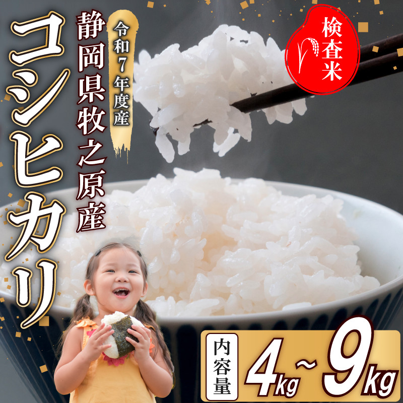 
            【事前受付】令和7年度産 新米 コシヒカリ 米 4~9kg  選べる  精米 白米 国産 おいしい お米 こめ 静岡県 牧之原市  日用品 日常  9月~10月発送 ご飯 ごはん ふっくら もちもち 炭水化物  主食 家庭用 贈答
          