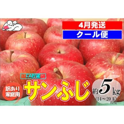 【ふるさと納税】【クール便】4月発送 白熊 訳あり家庭用 サンふじ 約5kg 糖度13度【弘前市産 青森りんご・ 果物 フルーツ 食後 デザート シャキシャキ ジューシー りんごの王様 】　お届け：2026年4月1日～2026年4月30日