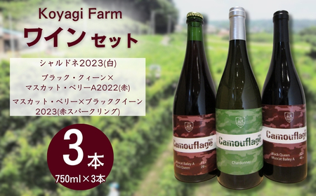 ワイン 3本セット シャルドネ / ブラッククイーン×マスカット・ベリー / マスカット・ベリー×ブラッククイーン