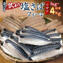 【ふるさと納税】 訳あり サバ 塩サバフィーレ 約1kg 2kg 3kg 4kg ノルウェー産 冷凍 小分け サバ 鯖 フィーレ 海鮮 魚 大容量 青魚 おかず 惣菜 焼魚 魚貝 おつまみ 弁当 人気 グルメ お取り寄せ 送料無料 ふるさと納税 ふるさと納税魚 千葉県 銚子市 大一奈村魚問屋