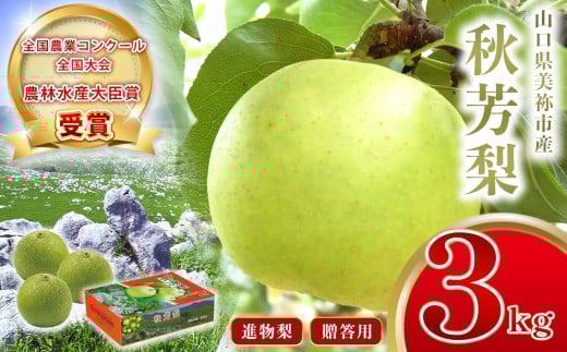 美祢市産 秋芳梨 ( 進物梨 ) 3kg 先行予約 〈2025年8月下旬より順次発送予定〉｜ 二十世紀 なし 梨 フルーツ 特産品 美祢市 山口県 美祢 秋芳町 秋芳 秋芳梨 進物 進物梨 贈答 果物 くだもの 果実 カルスト台地 先行予約 期間限定 3kg