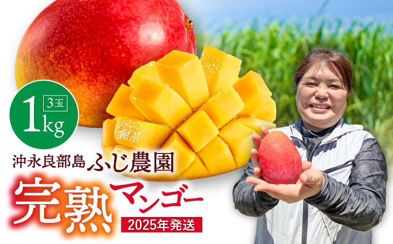 
            【2026年先行予約】ふじ農園の完熟マンゴー 1kg　C031-001
          