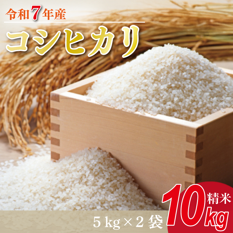 ★新米★R7年産 コシヒカリ 10kg(5kg×2袋)｜米 お米 白米 精米 新米 R7年産 令和7年産 こしひかり コシヒカリ 茨城県 茨城県産 行方市(HA-14)