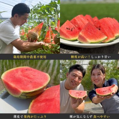【予約受付中・7月下旬以降順次発送】 天空のスイカ 【数量限定】 すいか 西瓜 小玉スイカ 栽培期間中農薬不使用　鳴門　 甘い 小玉 果物  フルーツ ギフト 人気商品  敬老の日 　スイカ_イメージ