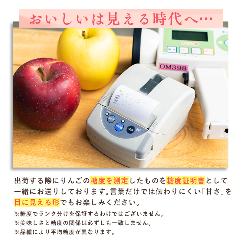 年内発送 贈答用シナノスイート約5kg（糖度証明書付き)　【那由多のりんご園・平川市産】