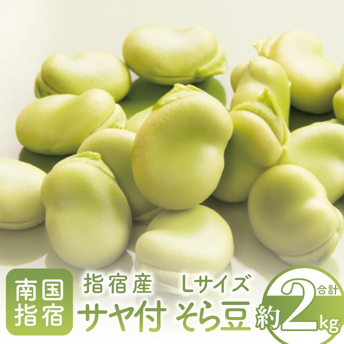 【ふるさと納税】＜先行予約受付中！2026年1月中旬以降順次発送＞鹿児島県指宿産サヤ付そら豆(Lサイズ・約2kg) 野菜 旬 そら豆 そらまめ ソラマメ 大容量 国産 詰め合わせ やさい 【岡村商店】