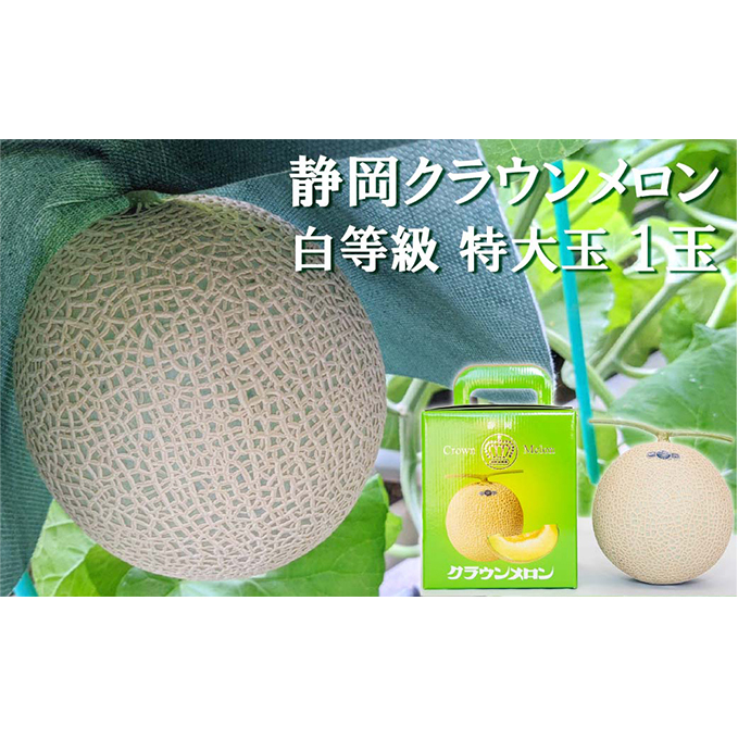 クラウンメロン【並（白等級）】特大玉（1.5kg前後）1玉入り 人気 厳選 ギフト 贈り物 デザート グルメ 果物 袋井市 果物類 メロン青肉 フルーツ 
