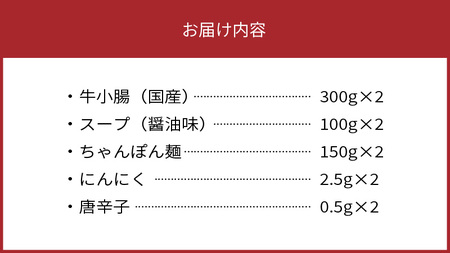 国産牛モツたっぷり600g！大容量5-6人前　やまやの博多もつ鍋セット　TY2802
