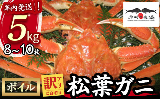 【赤碕町漁業協同組合】 『 訳あり ご自宅用 』 松葉ガニ （ ボイル ） 5kg 年内発送 着日指定不可 松葉ガニ カニ ズワイガニ カニ爪 冷蔵 かにしゃぶ カニ刺身 ずわいがに 鮮度抜群 国産 高級 鳥取県 倉吉市 ボイル