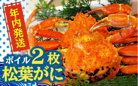 593.松葉ガニ（ボイル）2枚【年内配送】※着日指定不可※北海道、沖縄、一部離島への配送不可《ずわいがに　かに　カニ　蟹　正体》