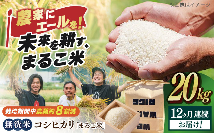 
            【全12回定期便】無洗米 コシヒカリ 滋賀県西浅井町産「まるこ米」20kg（5kg×4）　滋賀県長浜市/ONE SLASH 株式会社[AQCZ035]  米 お米 白米 無洗米 こしひかり 20kg 地域 応援 定期便
          