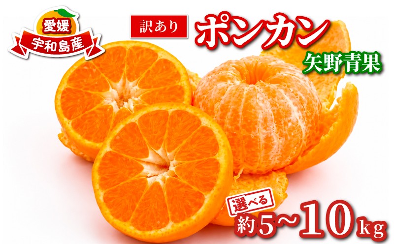 
                  訳あり ポンカン 選べる 容量 約 5kg ~ 10kg 矢野青果 わけあり 訳あり品 訳有り 訳アリ 愛媛みかん 愛媛ミカン みかん ミカン ミカン フルーツ 柑橘 蜜柑 mikan 果物 くだもの 甘い コク 人気のみかん 美味しい 産地直送 数量限定 国産 愛媛 宇和島
                