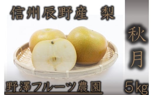 229 先行予約 ジューシー梨 秋月 ５㎏ 【野澤フルーツ農園】10月上旬～中旬発送