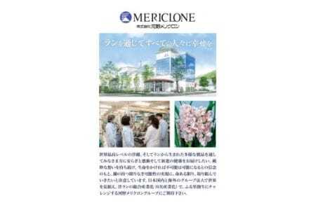 蘭夢 シャンプー コンディショナー 2本
