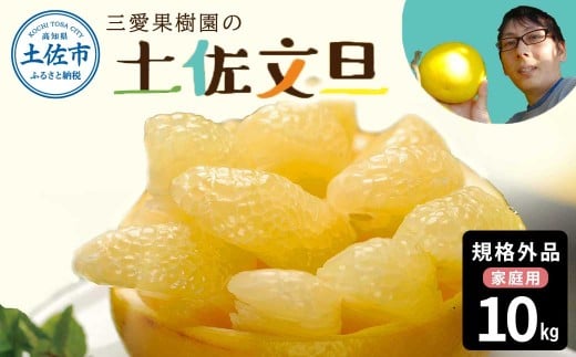 文旦 約10kg 10キロ L～4Lサイズ 土佐文旦 みかん 柑橘 ぶんたん ブンタン 果物 フルーツ デザート おやつ 三愛果樹園の土佐文旦 おいしい 美味しい 規格外品 お取り寄せ 常温 配送