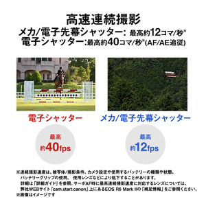カメラ canon EOS R6 Mark II 一眼レフ 一眼レフカメラ デジタル一眼レフカメラ