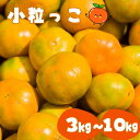 【ふるさと納税】みかん 小玉 ss 温州みかん 「小粒っこ」 3kg 5kg 10kg 《 レビューキャンペーン 実施中 ! 》7000円 ( 極早生 早生 中生 晩稲)【2S～3Sサイズおまかせ】【2024年10月中旬～2025年1月下旬までに順次発送】＜味好農園＞/みかん 温州みかん 和歌山県 有機