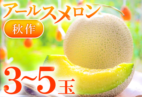 B-929 益田産アールスメロン 秋作 3～5玉